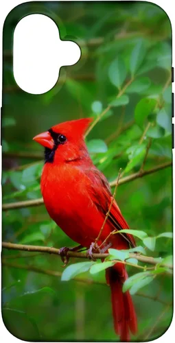 Vista 32 de Hermosa cardenal pájaro rojo escena de la naturaleza caso para iPhone 17
