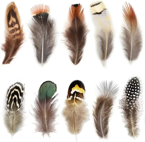 Vista 8 de 200 plumas naturales de 10 estilos surtidos de plumas para atrapasueños y manualidades (10 estilos - 200 piezas)