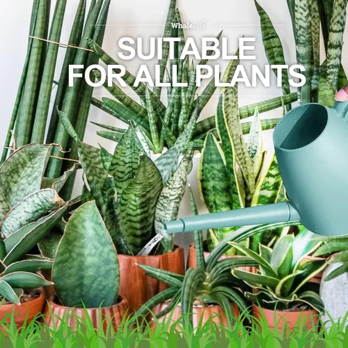 Vista 5 de WhaleLife Regadera interior para plantas de bonsái de casa (2.0L, azul)