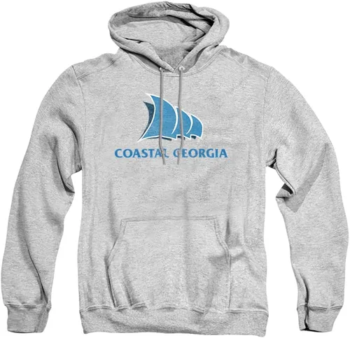 Vista 47 de Distressed College Primary Logo Adult Pullover Hoodie Collection 1 Universidad Estatal de Albany