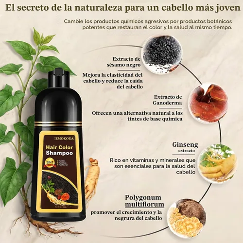 Vista 5 de Champú de tinte para el cabello 3 en 1, cobertura de canas durante 3 a 4 semanas, champú para colorear negro para todo tipo de cabello, fórmula