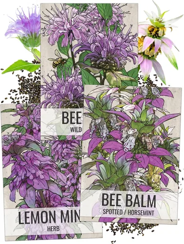 Vista 14 de Seed Needs - Semillas de Capuchina para Plantar Flores Comestibles - Juego de Colección de Mezcla Joya y Capuchinas de Doble Brillo para Atraer