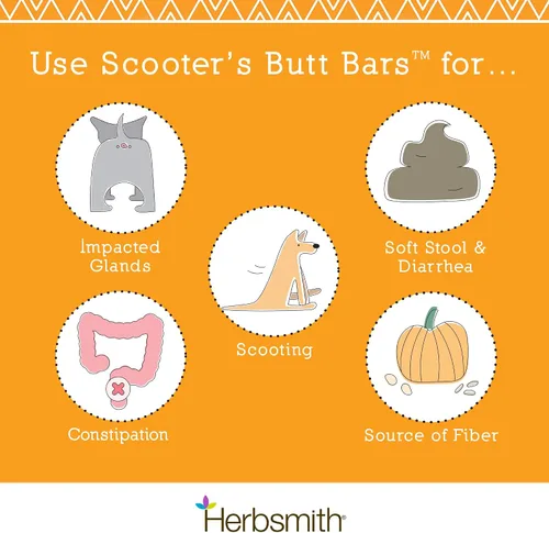 Vista 2 de Herbsmith Scooter's Butt Bars - Soporte anal para glándula e intestinal con fibra de calabaza para perros, ayuda digestiva para perros, barras