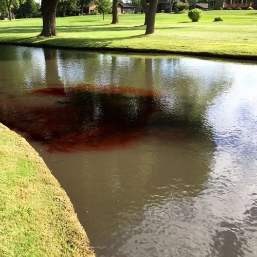 Vista 4 de Healthy Ponds Colorante natural y tinte para agua, negro