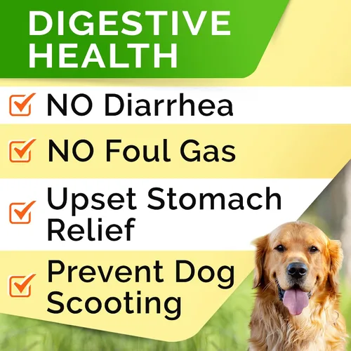 Vista 5 de StrellaLab Golosinas de probióticos para perros para comedores exigentes, enzimas digestivas + prebióticos, suplemento de fibra masticable, alergia