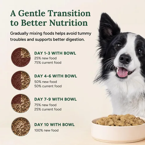 Vista 7 de 360 Pet Nutrition Alimento crudo liofilizado para perros – Receta de carne de res con hígado y órganos, alta proteína con omega-3, frutas, verduras
