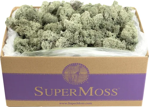 Vista 9 de Super Moss (23164) Musgo de reno preservado, fucsia, 2 onzas Musgo preservado suave, decoración del hogar, manualidades y terrarios, diseño