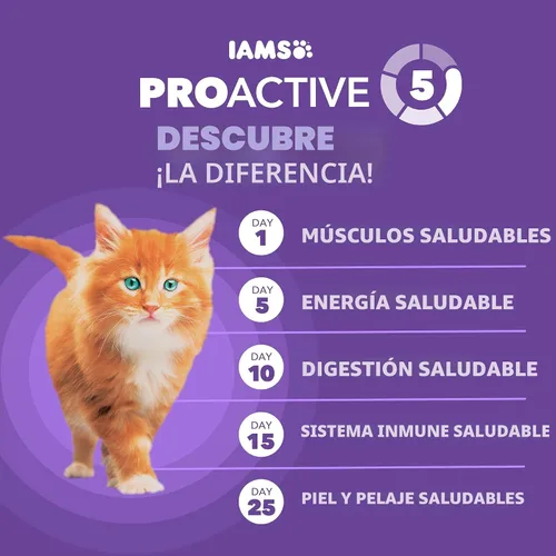 Vista 5 de IAMS Proactive Health comida seca para gatitos