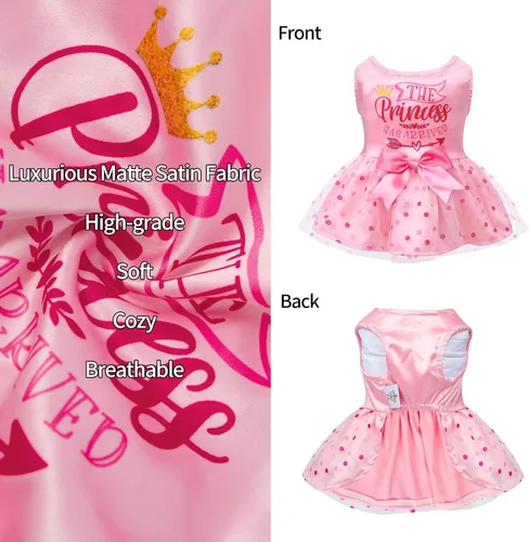 Vista 3 de CuteBone Vestido de cumpleaños para niña, ropa de princesa, disfraz de gato, ropa para perros pequeños, traje para mascotas, DD20XXS La princesa ha