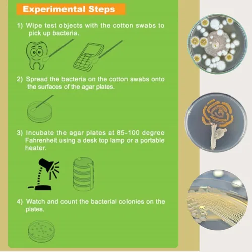 Vista 3 de Kit de ciencias de bacterias EZ Bioresearch (IV): kit de proyecto de ciencias Placas de agar LB preparadas e hisopos de algodón Exclusivo libro
