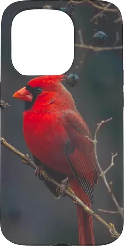 Vista 14 de Funda para iPhone 16 Cardinal Bird