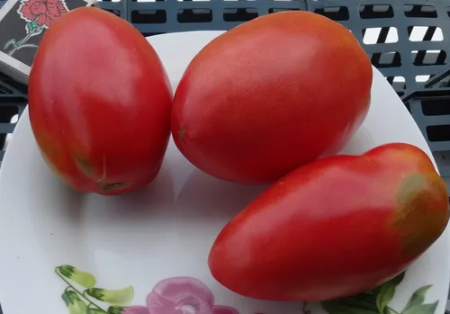 Vista 7 de Semillas Tomate en forma de pimiento indeterminado rojo largo vegetal reliquia sin OMG