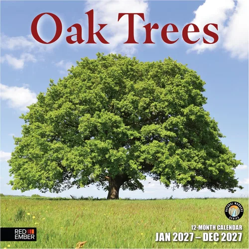Vista 58 de RED EMBER National Parks - Calendario de pared 2027 de 12 meses 02 - Untamed & Hermosos Parques Nacionales
