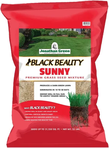 Vista 8 de Jonathan Green (10895) Black Beauty Sunny Grass Seed - Semilla de césped de temporada fría (1 libra)