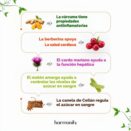 Vista 6 de Suplemento de berberina con canela de Ceilán, cardo mariano, cúrcuma, complejo de melón amargo, 120 cápsulas, 1000 mg, vegano, sin OMG