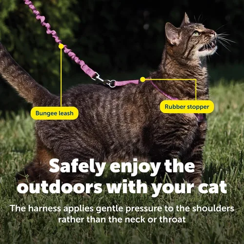 Vista 5 de Arnés y correa para gatos de Come With Me Kitty., S, Dusty Rose Adjustable 2-Point Fit Applies Gentle Pressure to Shoulders, Not Neck, for Kittens