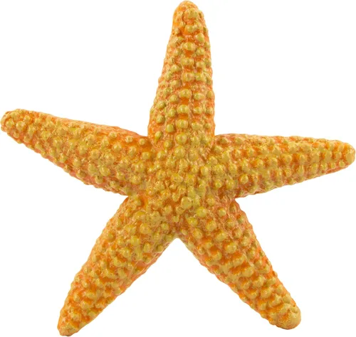 Vista 4 de Safari Ltd. Figura de estrella de mar, vibrante figura de estrella de mar de 4.5 pulgadas, juguete educativo para niños, niñas y niños a partir de 3