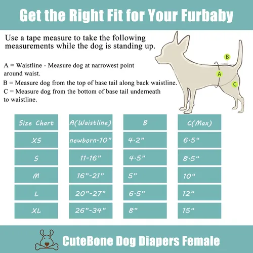 Vista 6 de CuteBone - Pañales para perras, paquete de 3 unidades para perritos, talla XS, D14XS