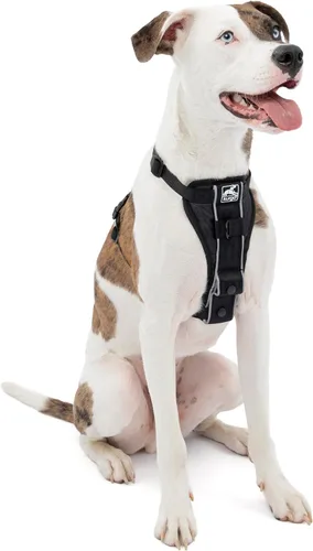 Vista 7 de Kurgo Tru-Fit - Arnés inteligente para caminar para perros, ajuste cómodo, arnés ajustable, reflectante para mascotas, liberación rápida