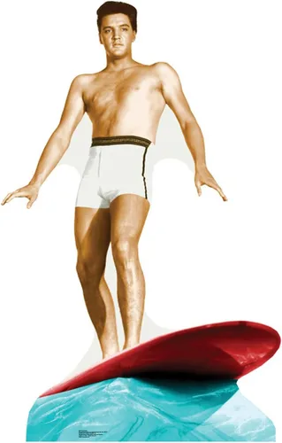 Vista 18 de Imágenes en cartón de Elvis Presley , talla única , Elvis 1