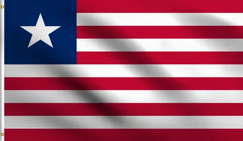 Vista 163 de DMSE - Bandera nacional beninesa beninesa de la República de África Occidental, 2 x 3 pies, 100 % poliéster, 100 % poliéster, resistente a los rayos