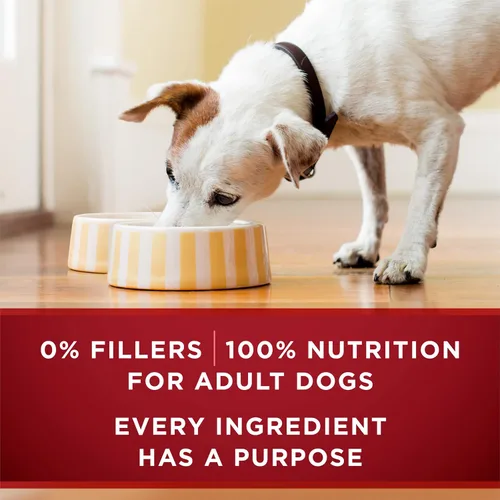 Vista 8 de Purina ONE True Instinct - Cortes tiernos en salsa con pavo verdadero y venado, y con pollo verdadero y pato, alimento húmedo para perros alto