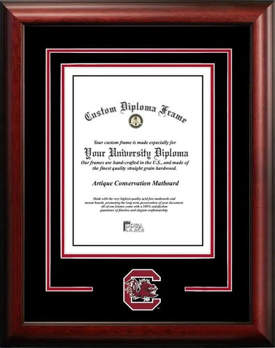 Vista 31 de Marco de Diploma Spirit NCAA