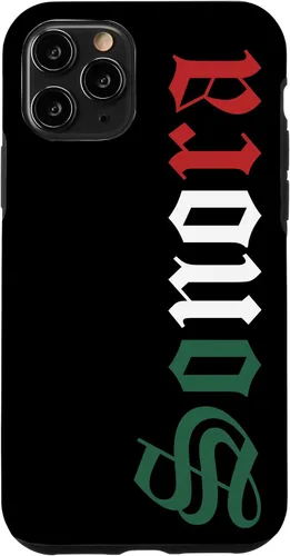 Vista 29 de Sonora Mexico Mexican Flag State Estado Case for iPhone 16