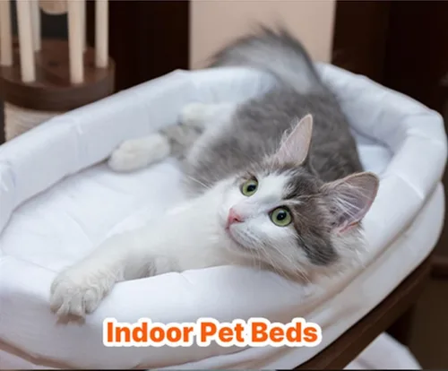 Vista 4 de InLife Súper calentador para perros y gatos Todo natural y seguro, calor rápido instantáneo, calor fácil y cómodo Activado por aire, constante