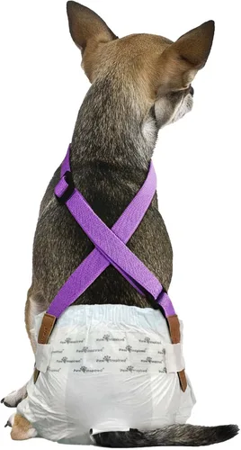 Vista 17 de Paw Inspired Tirantes de pañales para perros con cierres de velcro Tirantes elásticos ajustables para pañales desechables y lavables para mujeres