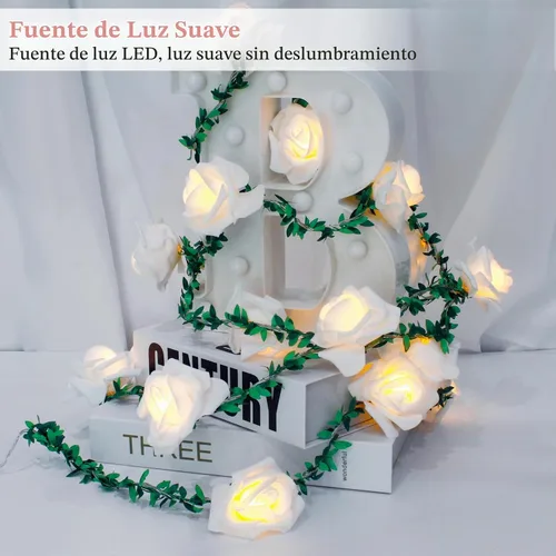 Vista 4 de VIPMOON Guirnalda de luces artificiales de 20 LED de 10 pies, funciona con pilas, con control remoto, tira de luces blancas cálidas impermeables