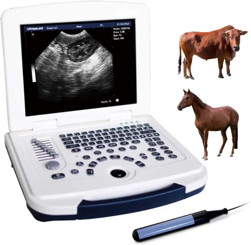 Vista 11 de DAWEI Mu10 - Escáner veterinario de ultrasonido con sonda impermeable B, BB, BM, 4B para veterinario, escáner de ultrasonido, animales, examen
