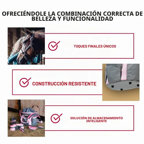 Vista 5 de Weaver - Kit de aseo para caballos equinos, juego de 7 piezas con bolsa organizadora, púa de pezuñas, peine, raspador de sudor, herramientas equinas