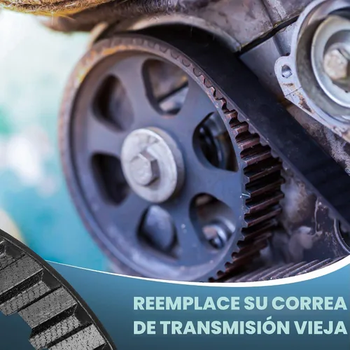 Vista 5 de BT012100AV, correa de compresor de aire de 8 costillas