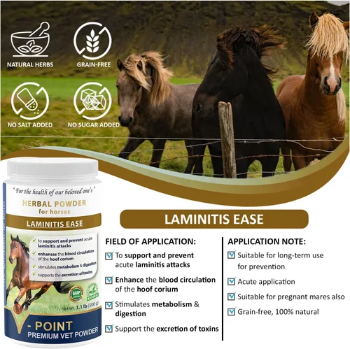 Vista 9 de V-POINT - Laminitis Ease - Suplementos de pezuñas para caballos - Producto para el cuidado de pezuñas de caballo a base de polvo natural - Ideal