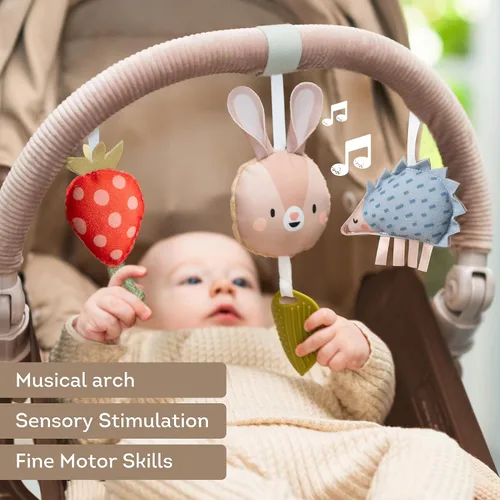 Vista 3 de Taf Toys Arco Ideal para lactantes y niños pequeños, se adapta a cochecito y carriola, arco de actividad con juguetes fascinantes, estimula