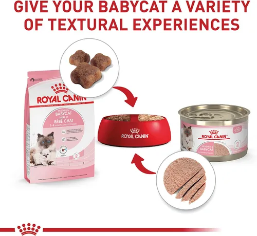 Vista 5 de Royal Canin Feline Health Nutrition Mother & Babycat Queen - Alimento seco para gatos, bolsa de 3 libras