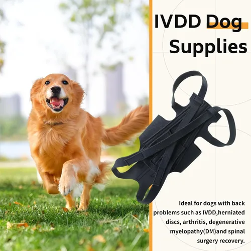 Vista 3 de Soporte de espalda para perro para IVDD, artritis, discos deslizados y herniados, recuperación quirúrgica y rehabilitación, ayuda a aliviar el dolor