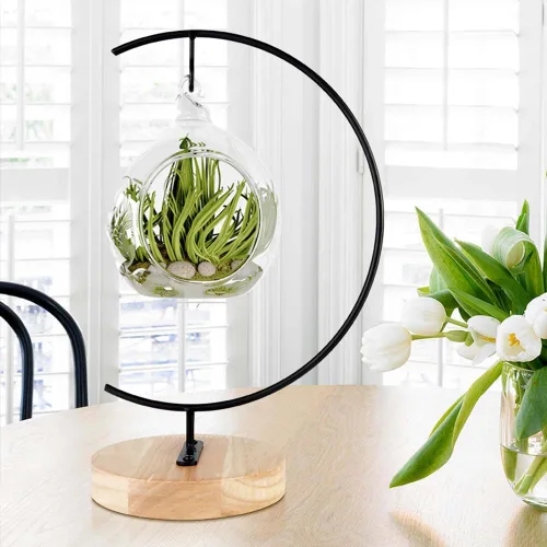 Vista 2 de CXLE Soporte de exhibición de adornos, soporte de adorno de hierro para colgar globo de vidrio para plantas de aire, terrario, bola de bruja, adorno