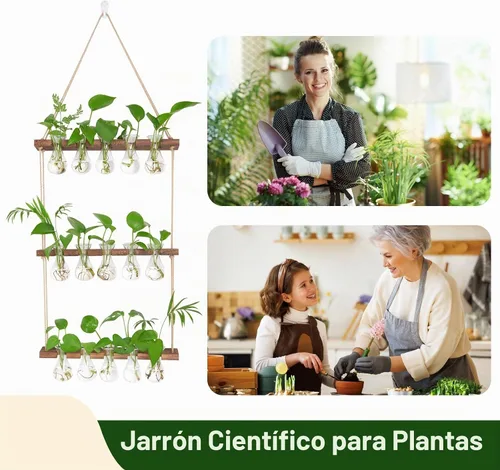 Vista 6 de XXXFLOWER Wall Hanging Propagation Station 5 Bulb Vase 3 Tiers Brown Transparente