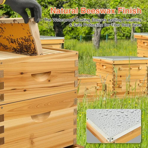 Vista 4 de CREWORKS Colmena de abejas de 10 marcos, kit de iniciación de colmena recubierta de cera de abeja de 2 capas con marcos y fundaciones, caja