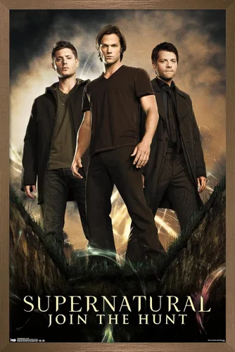 Vista 14 de Trends International Supernatural - Póster de pared de grupo, 14.725 x 22.375 pulgadas, versión con marco de madera tipo granero