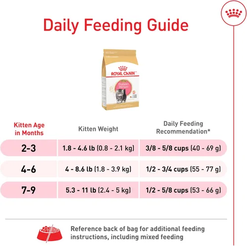 Vista 8 de Comida seca para gatitos persas de Royal Canin Nutrición para razas felinas, bolsa de 3 libras