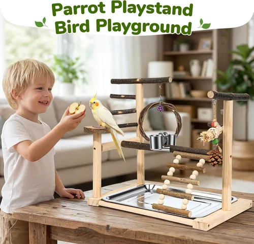 Vista 7 de Soporte de loro de madera para pájaros pequeños a medianos