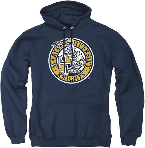 Vista 18 de Distressed College Primary Logo Adult Pullover Hoodie Collection 1 Universidad Estatal de Albany