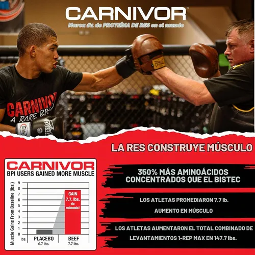Vista 3 de MuscleMeds Carnivor RTD Sampler Pack de proteínas listas para beber, sin lactosa, sin azúcar, proteína aislada de res, construcción muscular
