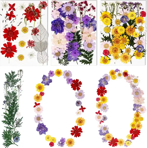 Vista 10 de BIHRTC 100 hojas secas prensadas naturales, hojas secas prensadas, girasoles, crisantemo, margaritas para manualidades, resina, joyería, fabricación