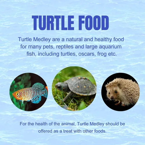 Vista 5 de Amzey Paquete de 2 alimentos para tortugas acuáticas, vitaminas, golosinas enriquecidas de congelación, gusanos de harina secos, camarones de río