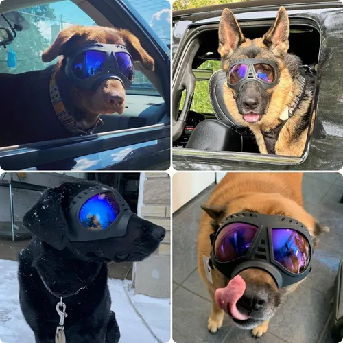 Vista 7 de Gafas grandes para perros con protección para ojos de mascotas para razas medianas a grandes, resistentes al viento, a prueba de nieve, a prueba