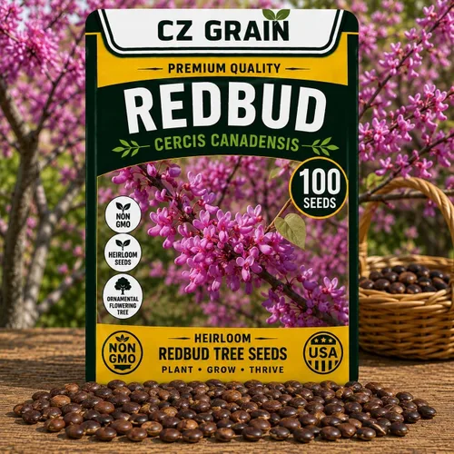 Vista 6 de CZ Grain Semillas para plantar, 40 pequeñas mezclas de calabaza
